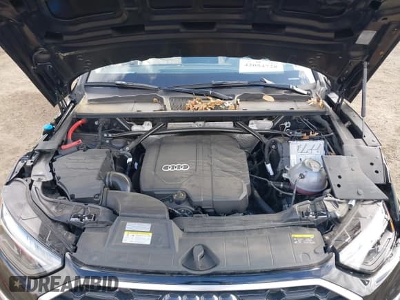 ✅ 2024 Audi Q5 S line Premium • VIN: WA1GAAFY8R2043043 • Лот: 42054728. Опубликован ранее на IAAI с пробегом 10 929 миль. Бесплатный доступ к архиву аукционных продаж из США и подробный отчёт об истории автомобиля на DreamBid. Изображение 10.