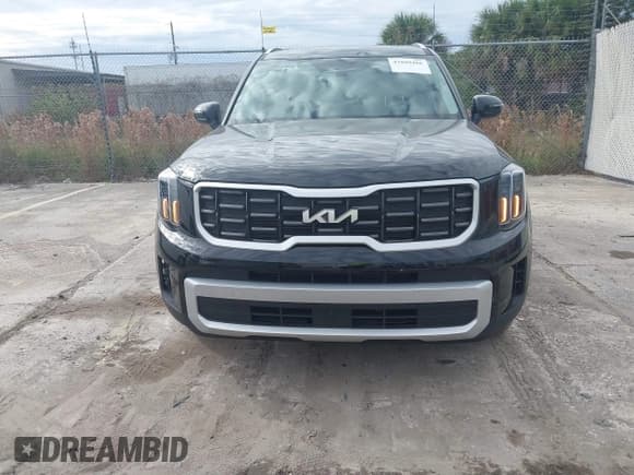 ✅ 2025 Kia Telluride S • VIN: 5XYP64GC4SG622408 • Lot: 43809486. Listed on IAAI with 20,956 mi. Free auction sales archive from the USA and detailed vehicle history report at DreamBid. Image 12.