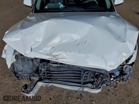 ✅ 2009 Audi Q5 Premium • VIN: WA1KK78R69A015764 • Лот: 94679715. Опубликован ранее на Copart с пробегом Не указан. Бесплатный доступ к архиву аукционных продаж из США и подробный отчёт об истории автомобиля на DreamBid. Изображение 11.