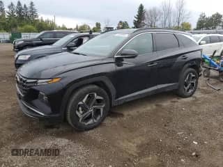 2022 Hyundai Tucson Luxury с VIN KM8JCCA13NU044252, выставлен на аукционе Copart как лот 74450904 с пробегом 56 164 миль миль и Списание • Salvage title. История ставок и продаж доступна на DreamBid. Изображение 1.