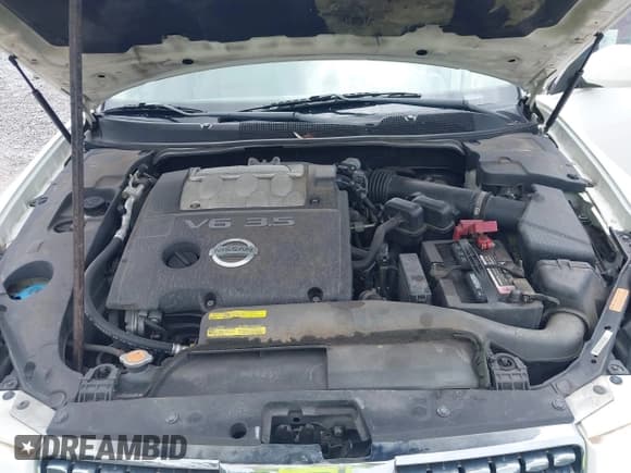 ✅ 2005 Nissan Maxima SE • VIN: 1N4BA41E45C878257 • Lot: 42639660. Listed on IAAI with 133,145 mi. Free auction sales archive from the USA and detailed vehicle history report at DreamBid. Image 10.