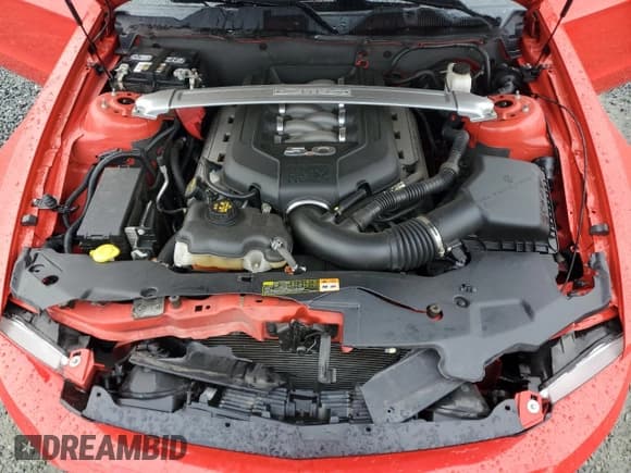 ✅ 2012 Ford Mustang GT • VIN: 1ZVBP8FFXC5213363 • Lot: 52863905. Wystawiony na Copart z przebiegiem 51 896 mil. Bezpłatny archiwum sprzedaży aukcyjnych z USA i szczegółowy raport historii pojazdu na DreamBid. Zdjęcie 12.