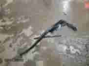 2001 Chevrolet S-10 LS z VIN 1GCDT13W91K187422, wystawiony jako Copart lot #72997884 z przebiegiem Nie podano mil oraz Szkoda całkowita • Salvage title. Historia ofert i sprzedaży dostępna na DreamBid. Obrazek 13.