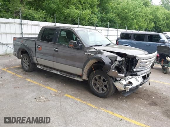 ✅ 2009 Ford F-150 XL • VIN: 1FTRW14829FB24504 • Lot: 42485199. Listed on IAAI with 198,639 mi. Free auction sales archive from the USA and detailed vehicle history report at DreamBid. Image 1.