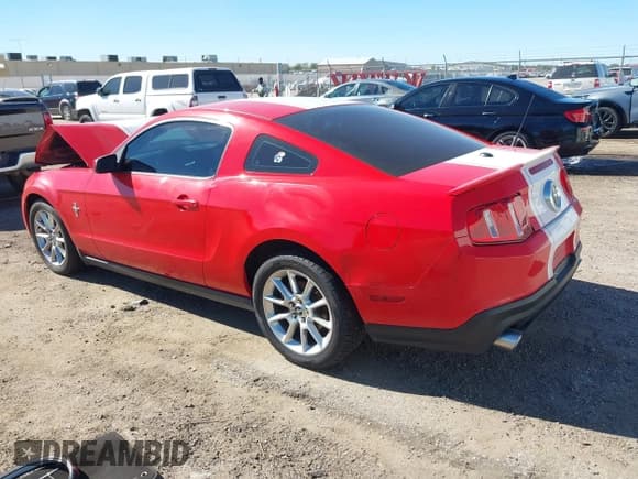 ✅ 2010 Ford Mustang V6 • VIN: 1ZVBP8ANXA5112982 • Lot: 43469162. Listed on IAAI with 150,431 mi. Free auction sales archive from the USA and detailed vehicle history report at DreamBid. Image 3.
