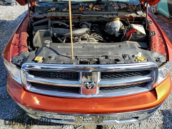 ✅ 2009 Dodge 1500 SLT • VIN: 1D3HB18PX9S815254 • Lot: 94370835. Listed on Copart with 224,280 mi. Free auction sales archive from the USA and detailed vehicle history report at DreamBid. Image 11.