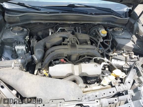 2017 Subaru Forester Limited with VIN JF2SJAJC7HH504600, listed as a IAAI auction lot 42492890 with 130,925 mi miles and . Bid and sale history available at DreamBid. Image 10.