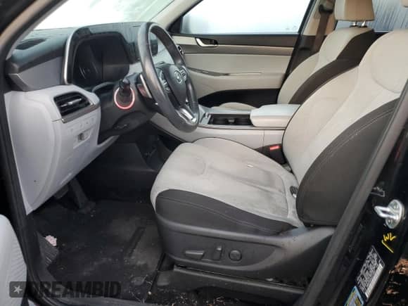 2020 Hyundai Palisade SEL с VIN KM8R34HE6LU113837, выставлен на аукционе Copart как лот 76196094 с пробегом Не указан миль и На запчасти • Non repairable. История ставок и продаж доступна на DreamBid. Изображение 7.