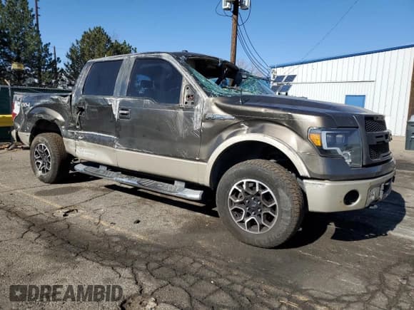 ✅ 2009 Ford F-150 XL • VIN: 1FTPW14V39FA81420 • Lot: 91905955. Listed on Copart with 222,189 mi. Free auction sales archive from the USA and detailed vehicle history report at DreamBid. Image 4.
