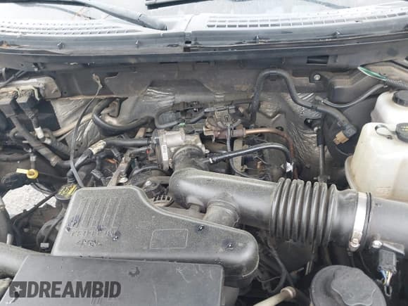 ✅ 2010 Ford F-150 XL • VIN: 1FTEX1EW7AFA75331 • Lot: 42226258. Listed on IAAI with 203,234 mi. Free auction sales archive from the USA and detailed vehicle history report at DreamBid. Image 10.