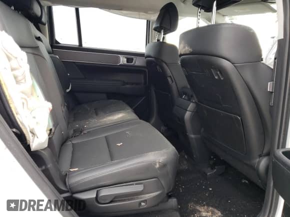 2024 Hyundai Santa Fe SEL с VIN 5NMP24GL7RH002163, выставлен на аукционе Copart как лот 44813615 с пробегом Не указан миль и Списание • Salvage title. История ставок и продаж доступна на DreamBid. Изображение 11.