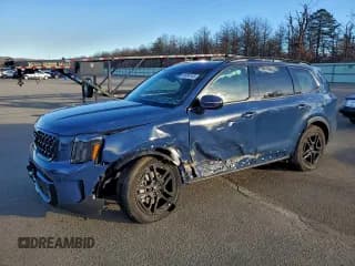 ✅ 2024 Kia Telluride SX X-Line • VIN: 5XYP5DGC8RG534734 • Лот: 95488145. Опубликован ранее на Copart с пробегом 7 148 миль. Бесплатный доступ к архиву аукционных продаж из США и подробный отчёт об истории автомобиля на DreamBid. Изображение 1.