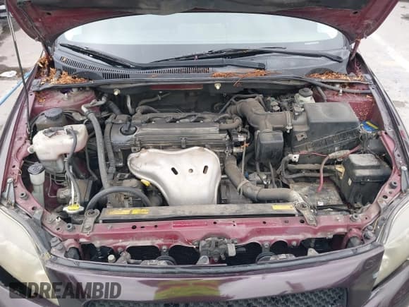 ✅ 2010 Scion tC • VIN: JTKDE3B71A0313552 • Lot: 42729587. Wystawiony na IAAI z przebiegiem 194 064 mil. Bezpłatny archiwum sprzedaży aukcyjnych z USA i szczegółowy raport historii pojazdu na DreamBid. Zdjęcie 10.