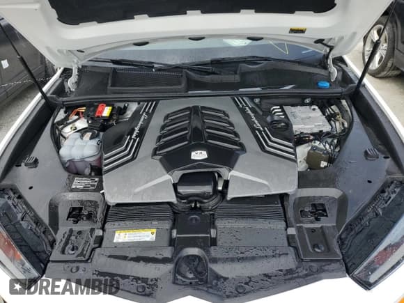 ✅ 2020 Lamborghini Urus • VIN: ZPBUA1ZL3LLA10132 • Lot: 75569384. Listed on Copart with Not provided. Free auction sales archive from the USA and detailed vehicle history report at DreamBid. Image 12.