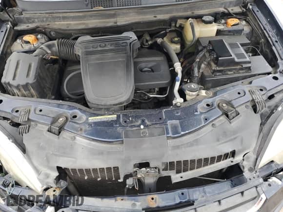 2008 Saturn VUE XE z VIN 3GSCL33P48S664499, wystawiony jako Copart lot #43034695 z przebiegiem 251 176 mil mil oraz Szkoda całkowita • Salvage title. Historia ofert i sprzedaży dostępna na DreamBid. Obrazek 12.