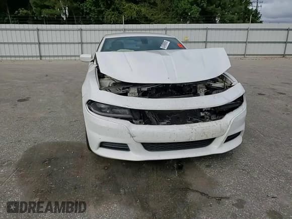 ✅ 2015 Dodge Charger SE • VIN: 2C3CDXBG0FH752603 • Lot: 82490885. Wystawiony na Copart z przebiegiem 178 436 mil. Bezpłatny archiwum sprzedaży aukcyjnych z USA i szczegółowy raport historii pojazdu na DreamBid. Zdjęcie 13.