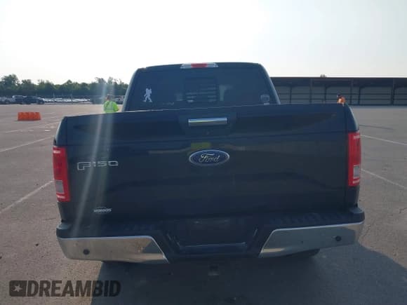 ✅ 2016 Ford F-150 XLT • VIN: 1FTEW1EP3GKF77961 • Lot: 42407209. Listed on IAAI with 120,543 mi. Free auction sales archive from the USA and detailed vehicle history report at DreamBid. Image 16.