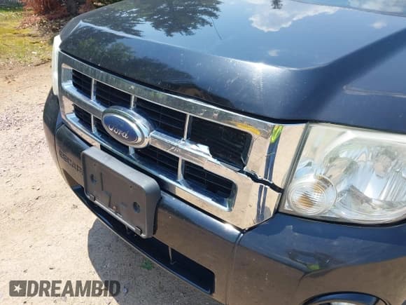 ✅ 2008 Ford Escape XLT • VIN: 1FMCU93198KA29776 • Lot: 42385565. Listed on IAAI with 250,329 mi. Free auction sales archive from the USA and detailed vehicle history report at DreamBid. Image 6.