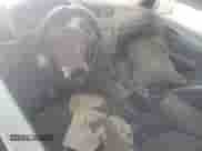 2017 Chevrolet Traverse LT z VIN 1GNKVHKD1HJ280677, wystawiony jako Copart lot #83834555 z przebiegiem Nie podano mil oraz Czysty tytuł • Clean title. Historia ofert i sprzedaży dostępna na DreamBid. Obrazek 8.