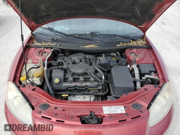 ✅ 2003 Chrysler Sebring • VIN: 1C3EL75T73N524783 • Лот: 76979584. Опубликован ранее на Copart с пробегом Не указан. Бесплатный доступ к архиву аукционных продаж из США и подробный отчёт об истории автомобиля на DreamBid. Изображение 11.