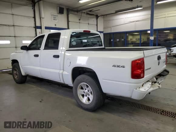 2010 Dodge Dakota ST with VIN 1D7CW2GK6AS125806, listed as a Copart auction lot 81616924 with 223,513 mi miles and Salvage title. Bid and sale history available at DreamBid. Image 2.