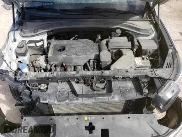 ✅ 2019 Hyundai Santa Fe Ultimate • VIN: 5NMS5CAD1KH020838 • Lot: 74299753. Wystawiony na Copart z przebiegiem 52 620 mil. Bezpłatny archiwum sprzedaży aukcyjnych z USA i szczegółowy raport historii pojazdu na DreamBid. Zdjęcie 12.