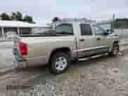 2005 Dodge Dakota SLT with VIN 1D7HE48N15S214296, listed as a Copart auction lot 60641925 with Not provided miles and Salvage title. Bid and sale history available at DreamBid. Image 3.