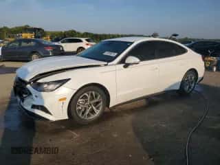 2023 Hyundai Sonata SEL с VIN KMHL64JA0PA250509, выставлен на аукционе Copart как лот 81209875 с пробегом 26 499 миль миль и Списание • Salvage title. История ставок и продаж доступна на DreamBid. Изображение 1.