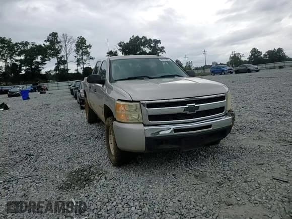 ✅ 2009 Chevrolet Silverado 1500 LS • VIN: 3GCEC13C39G116858 • Lot: 86135085. Listed on Copart with 203,297 mi. Free auction sales archive from the USA and detailed vehicle history report at DreamBid. Image 13.