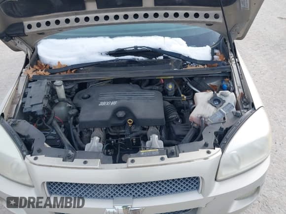 ✅ 2007 Chevrolet Uplander LS Fleet • VIN: 1GNDV23137D154702 • Лот: 43844284. Опубликован ранее на IAAI с пробегом 136 364 миль. Бесплатный доступ к архиву аукционных продаж из США и подробный отчёт об истории автомобиля на DreamBid. Изображение 10.