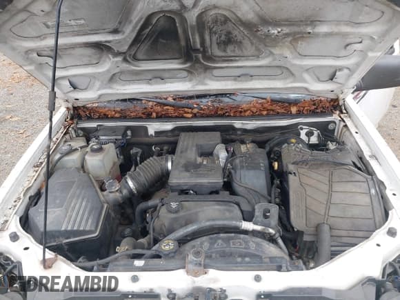 ✅ 2008 Chevrolet Colorado 1LT • VIN: 1GCCS14E988126521 • Лот: 43748876. Опубликован ранее на IAAI с пробегом 169 601 миль. Бесплатный доступ к архиву аукционных продаж из США и подробный отчёт об истории автомобиля на DreamBid. Изображение 10.