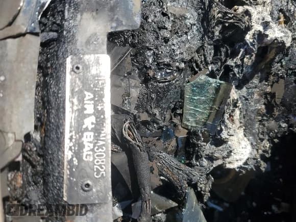 ✅ 1994 Ford F-150 • VIN: 1FTEF15N0RNA30825 • Lot: 70665385. Listed on Copart with Not provided. Free auction sales archive from the USA and detailed vehicle history report at DreamBid. Image 12.