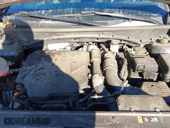 2022 Hyundai Santa Cruz SEL Premium с VIN 5NTJDDAFXNH005124, выставлен на аукционе IAAI как лот 41428379 с пробегом 34 800 миль миль и . История ставок и продаж доступна на DreamBid. Изображение 10.