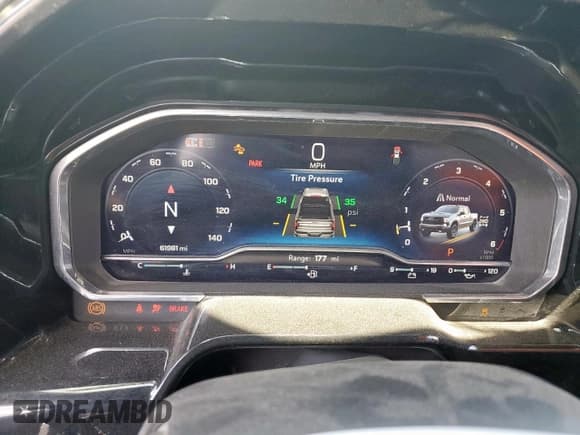 ✅ 2024 Chevrolet Silverado 1500 LT Trail Boss • VIN: 3GCUDFEDXRG243117 • Lot: 69073085. Wystawiony na Copart z przebiegiem 61 981 mil. Bezpłatny archiwum sprzedaży aukcyjnych z USA i szczegółowy raport historii pojazdu na DreamBid. Zdjęcie 9.