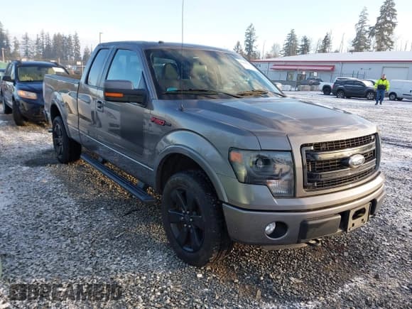 ✅ 2013 Ford F-150 XL • VIN: 1FTFX1EF8DFA54304 • Lot: 41484021. Listed on IAAI with 53,121 mi. Free auction sales archive from the USA and detailed vehicle history report at DreamBid. Image 1.