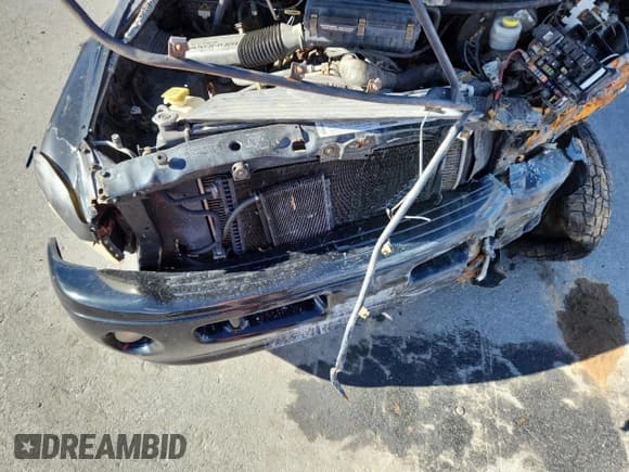 ✅ 1999 Dodge 1500 • VIN: 1B7HF13Y6XJ557413 • Lot: 91637085. Listed on Copart with Not provided. Free auction sales archive from the USA and detailed vehicle history report at DreamBid. Image 11.