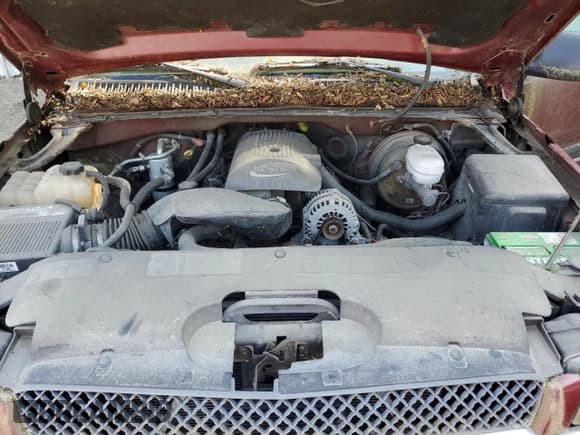 ✅ 2005 Chevrolet Silverado 1500 Z71 • VIN: 1GCEK14T75Z133898 • Лот: 59611495. Опубликован ранее на Copart с пробегом 118 294 миль. Бесплатный доступ к архиву аукционных продаж из США и подробный отчёт об истории автомобиля на DreamBid. Изображение 11.