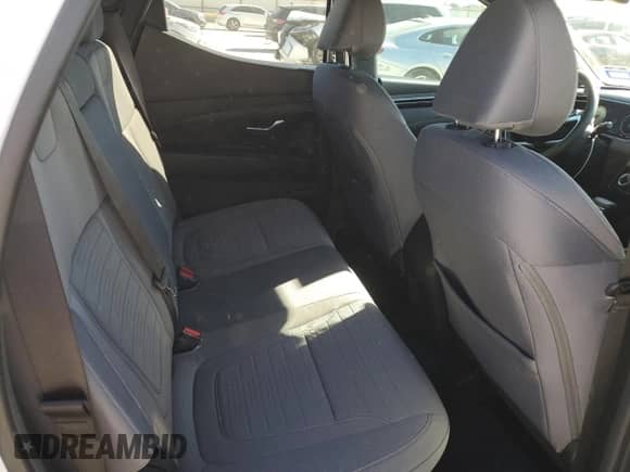 2023 Hyundai Santa Cruz SEL with VIN 5NTJCDAE8PH071054, listed as a Copart auction lot 81081134 with 9,609 mi miles and Salvage title. Bid and sale history available at DreamBid. Image 10.