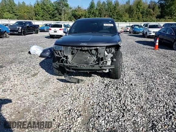 ✅ 2017 Jeep Grand Cherokee Limited • VIN: 1C4RJEBG2HC867941 • Lot: 82750735. Wystawiony na Copart z przebiegiem 222 832 mil. Bezpłatny archiwum sprzedaży aukcyjnych z USA i szczegółowy raport historii pojazdu na DreamBid. Zdjęcie 15.