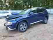 2022 Hyundai Santa Fe SEL with VIN 5NMS24AJ5NH408454, listed as a Copart auction lot 66262695 with 54,842 mi miles and Salvage title. Bid and sale history available at DreamBid. Image 1.