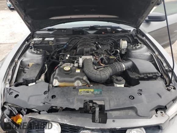 ✅ 2010 Ford Mustang V6 • VIN: 1ZVBP8ENXA5122356 • Lot: 55928825. Listed on Copart with 59,434 mi. Free auction sales archive from the USA and detailed vehicle history report at DreamBid. Image 13.