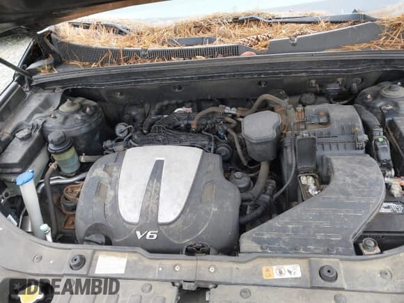 ✅ 2013 Kia Sorento SX • VIN: 5XYKW4A25DG420271 • Лот: 43745848. Опубликован ранее на IAAI с пробегом Не указан. Бесплатный доступ к архиву аукционных продаж из США и подробный отчёт об истории автомобиля на DreamBid. Изображение 10.