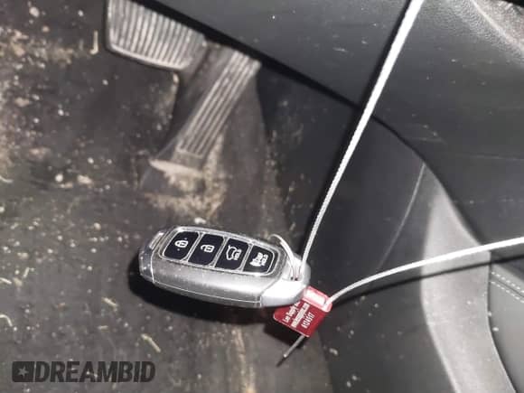 2019 Hyundai Santa Fe Limited z VIN 5NMS5CAA0KH110245, wystawiony jako IAAI lot #41626303 z przebiegiem 86 992 mil mil oraz . Historia ofert i sprzedaży dostępna na DreamBid. Obrazek 11.