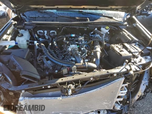 ✅ 2025 Ford Ranger Lariat • VIN: 1FTER4KP7SLE02841 • Lot: 96258395. Wystawiony na Copart z przebiegiem 2 436 mil. Bezpłatny archiwum sprzedaży aukcyjnych z USA i szczegółowy raport historii pojazdu na DreamBid. Zdjęcie 11.