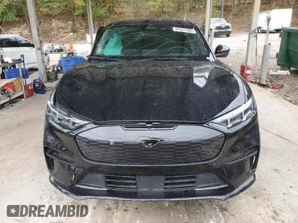 ✅ 2024 Ford Mustang Mach-E GT • VIN: 3FMTK4SX6RMA49119 • Lot: 82617905. Wystawiony na Copart z przebiegiem 14 783 mil. Bezpłatny archiwum sprzedaży aukcyjnych z USA i szczegółowy raport historii pojazdu na DreamBid. Zdjęcie 5.