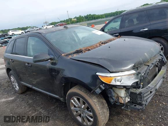 ✅ 2013 Ford Edge Limited • VIN: 2FMDK3KC6DBB59335 • Лот: 42381485. Опубликован ранее на IAAI с пробегом 189 869 миль. Бесплатный доступ к архиву аукционных продаж из США и подробный отчёт об истории автомобиля на DreamBid. Изображение 14.