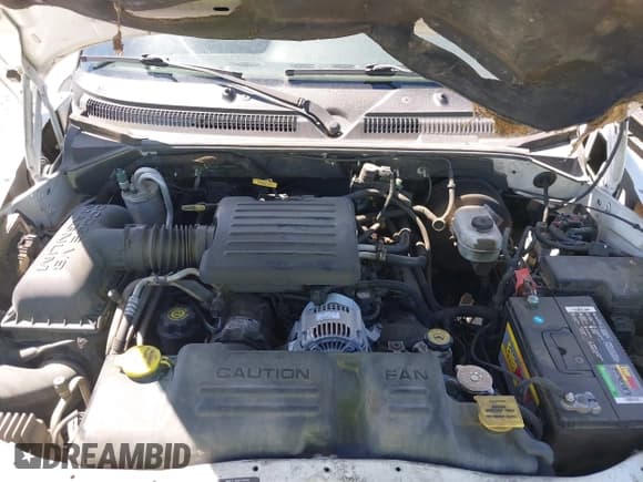 ✅ 2000 Dodge Dakota Sport • VIN: 1B7GG2AN9YS792231 • Lot: 42174764. Wystawiony na IAAI z przebiegiem 285 535 mil. Bezpłatny archiwum sprzedaży aukcyjnych z USA i szczegółowy raport historii pojazdu na DreamBid. Zdjęcie 10.