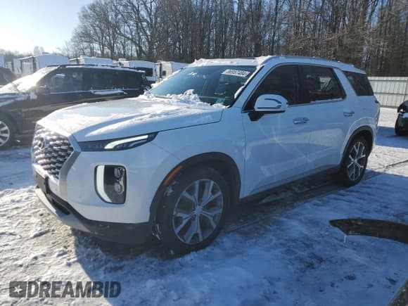 ✅ 2020 Hyundai Palisade SEL • VIN: KM8R4DHE8LU095273 • Lot: 86957484. Listed on Copart with 65,615 mi. Free auction sales archive from the USA and detailed vehicle history report at DreamBid. Image 1.