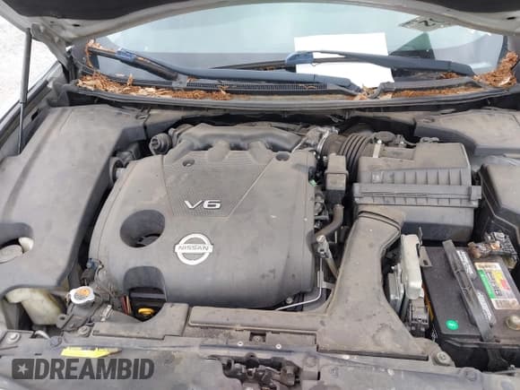 ✅ 2014 Nissan Maxima SV • VIN: 1N4AA5AP5EC483765 • Lot: 42381072. Listed on IAAI with Not provided. Free auction sales archive from the USA and detailed vehicle history report at DreamBid. Image 10.