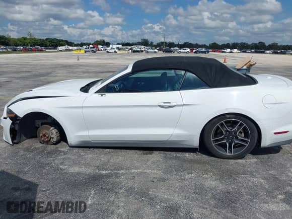 2023 Ford Mustang EcoBoost with VIN 1FATP8UH6P5105734, listed as a IAAI auction lot 43493168 with 67,596 mi miles and . Bid and sale history available at DreamBid. Image 15.